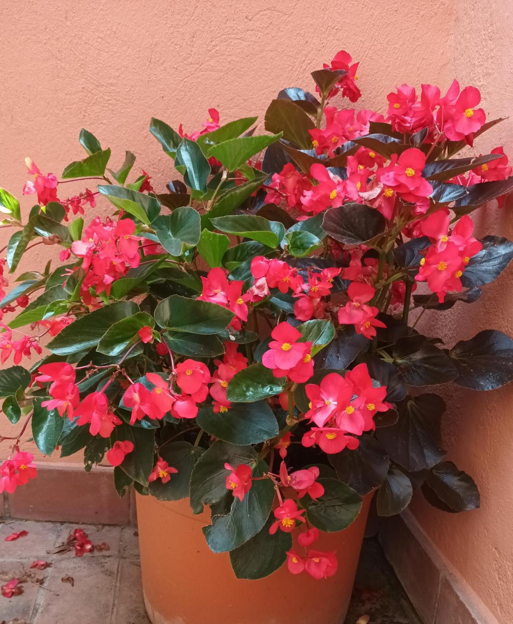 B&B Mar Y Montana Privado No Cocina Orrius 外观 照片